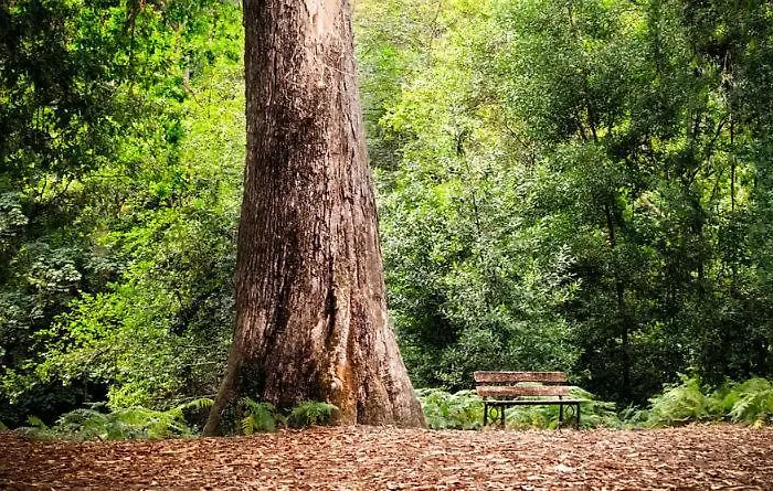 Apt. P/4 En La Playa De *